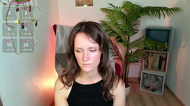 DolphinMorgentau