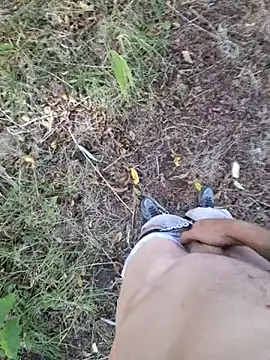FancySnake