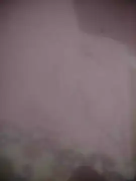 8414033011_wpp