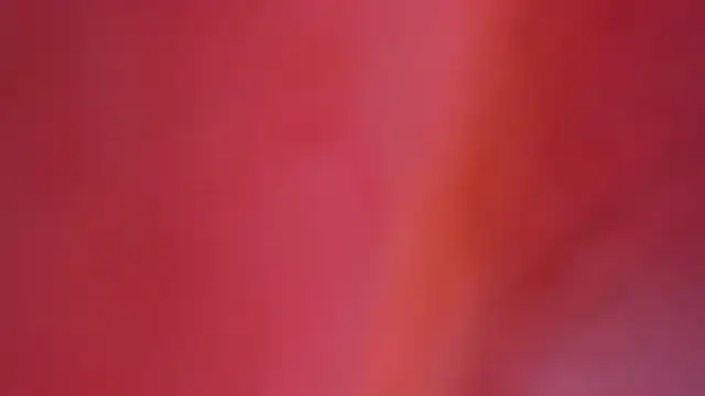 sarah_sweett_ webcam