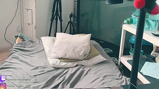 CeriseLapine live cam on StripChat