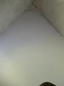 CurvyPaar2's room