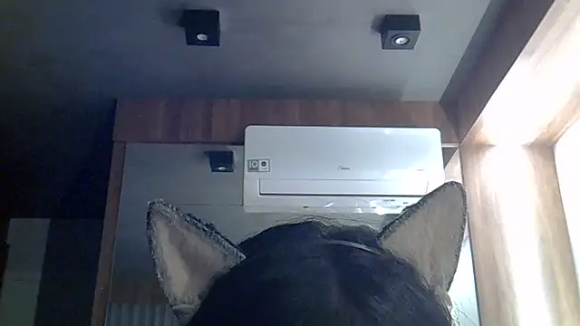 SkinnyKitten live cam on StripChat