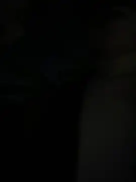 Vietcouple live webcam