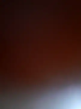 pp1-4 webcam