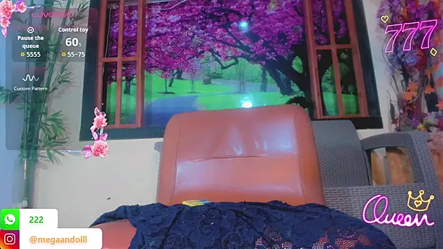 bayolet_ webcam