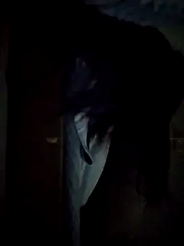 ItsmeNikitaDragon live cam on StripChat