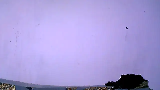CherryPumPum live cam on StripChat