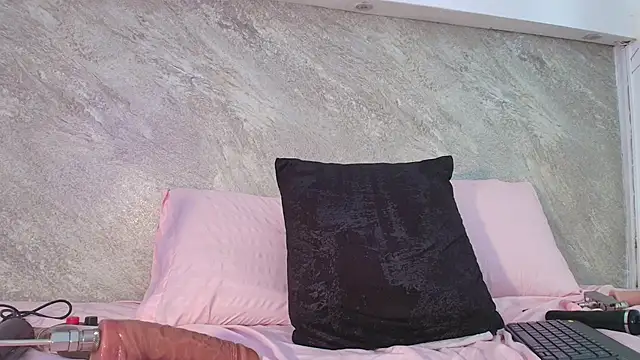 Dixie_grey1