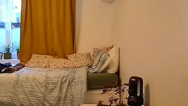 belgianshantie webcam