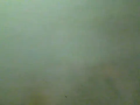 Foxboy65 live cam on StripChat