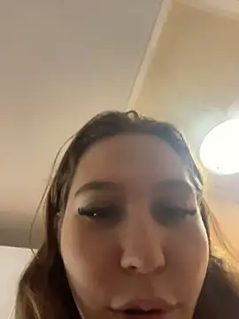 Aneruivinhaa webcam