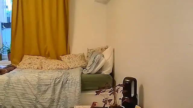 belgianshantie live cam on StripChat
