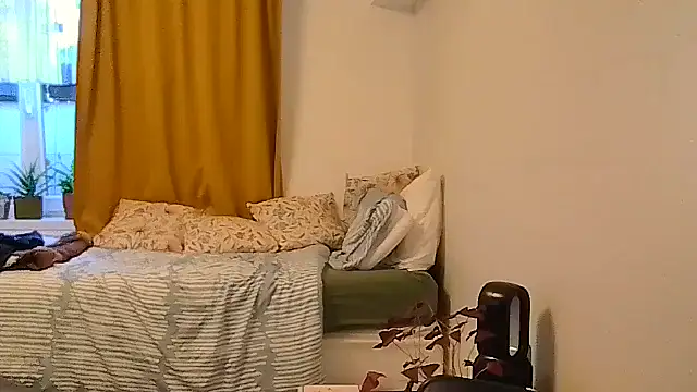 belgianshantie webcam
