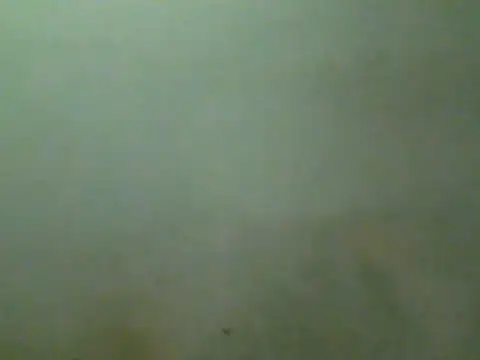 Foxboy65 live cam on StripChat