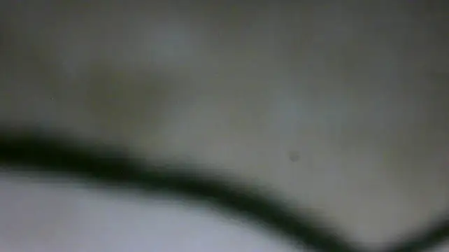 MidnightFlirtX live cam on StripChat