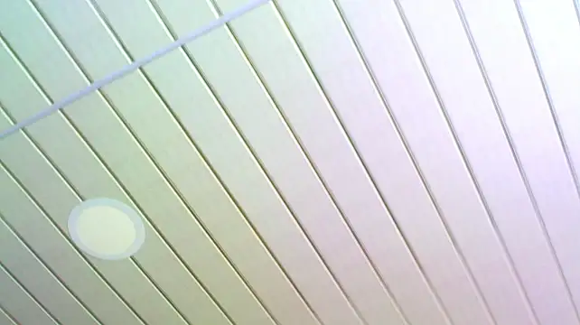 ragnar0825 webcam