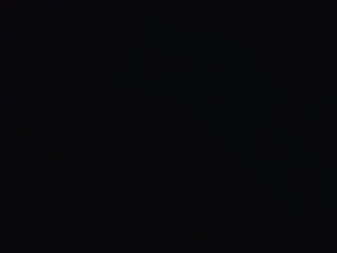 Lily_969