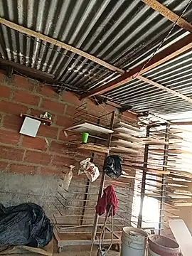 hoteder's live cam