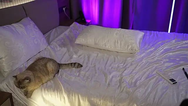 sexy_sabotageee live cam on StripChat