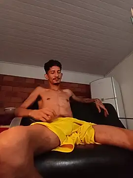 OCamBoy