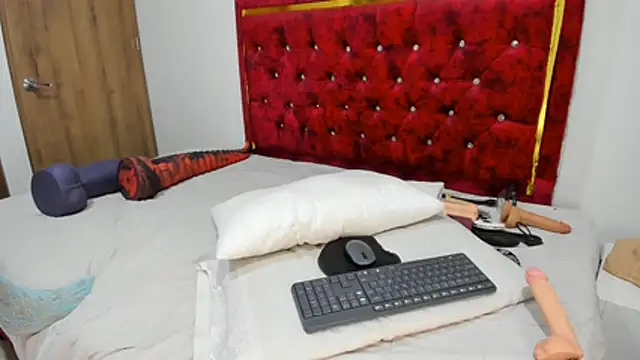 charlloteevans_X live cam on StripChat