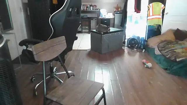 bigshh8 webcam