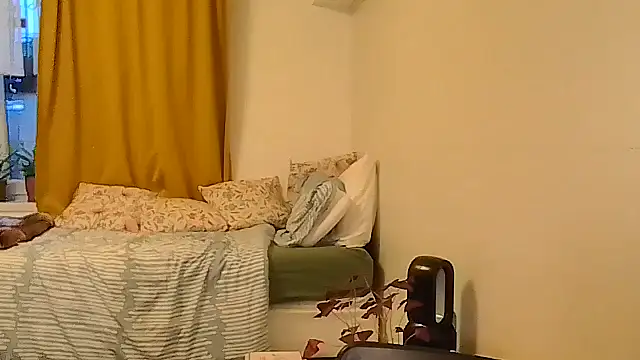 belgianshantie webcam