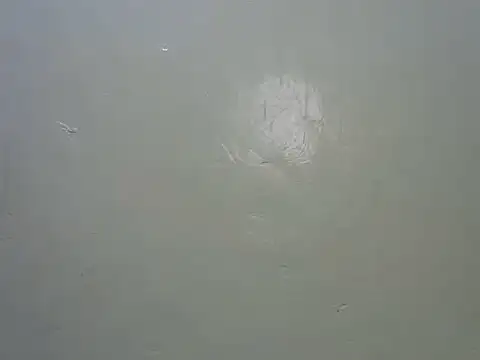 sexycuteliz webcam