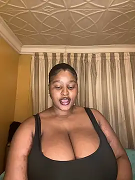 Bella-Porsche webcam