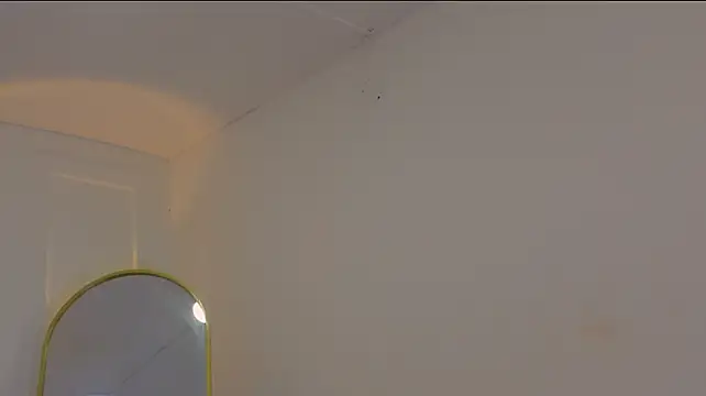 charlotte_dante212 live cam on StripChat