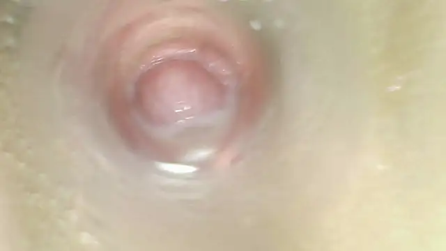 karol_stom live sex cam