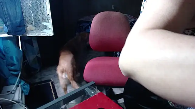 Barbiegomez webcam