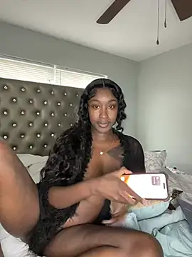 ToyaThick webcam