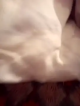 Walidtlm13