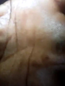 Mrericano