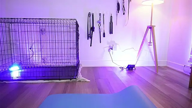 Eva-savage live cam on StripChat
