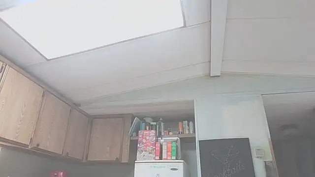 Yankeedave420 webcam