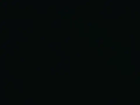 Lily_969