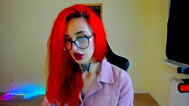 your_tora webcam