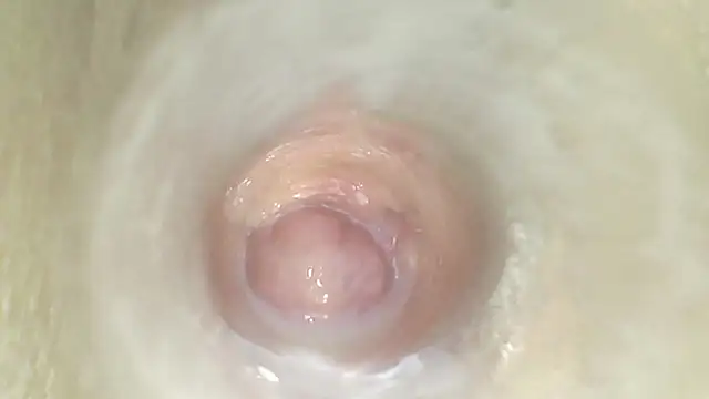 karol_stom