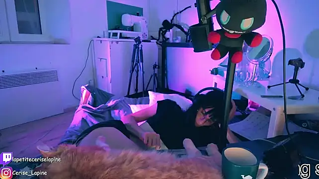 CeriseLapine live cam on StripChat