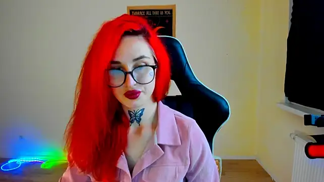 your_tora webcam
