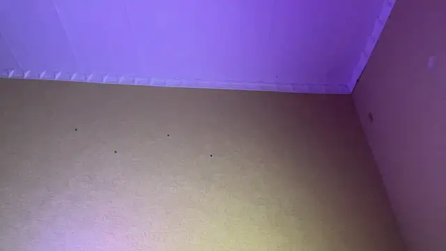 xXMelanieseXx live cam on StripChat