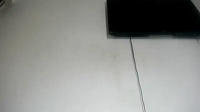 Fox_Loves
