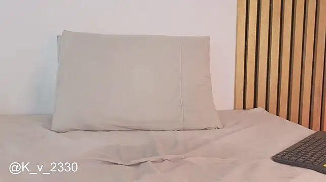 sofiesoft webcam