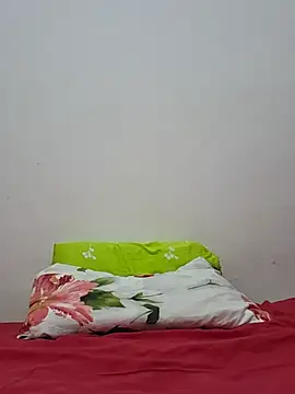 altinya webcam
