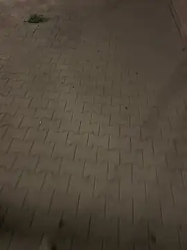 MarekPublicShow live cam on StripChat