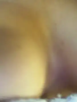 zelyramonvielly (Ask my age) - 😈NAKED+PLUG ANAL IN ASS(RISK TOILET