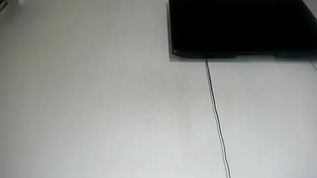 Fox_Loves